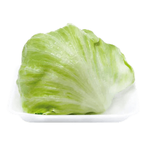 ALFACE-AMERICANA-BANDEJA ALFACE-AMERICANA-BANDEJA