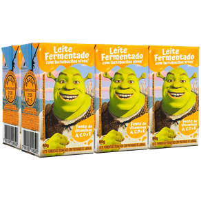 LEITE-FERMENTADO-BATAVO-480G-C-06-LARANJA LEITE-FERMENTADO-BATAVO-480G-C-06-LARANJA